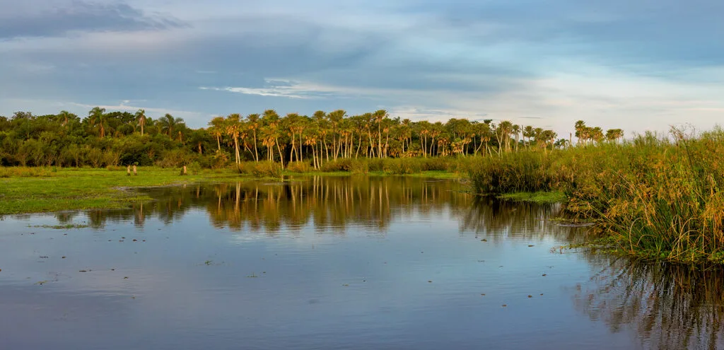 Esteros del Iberá