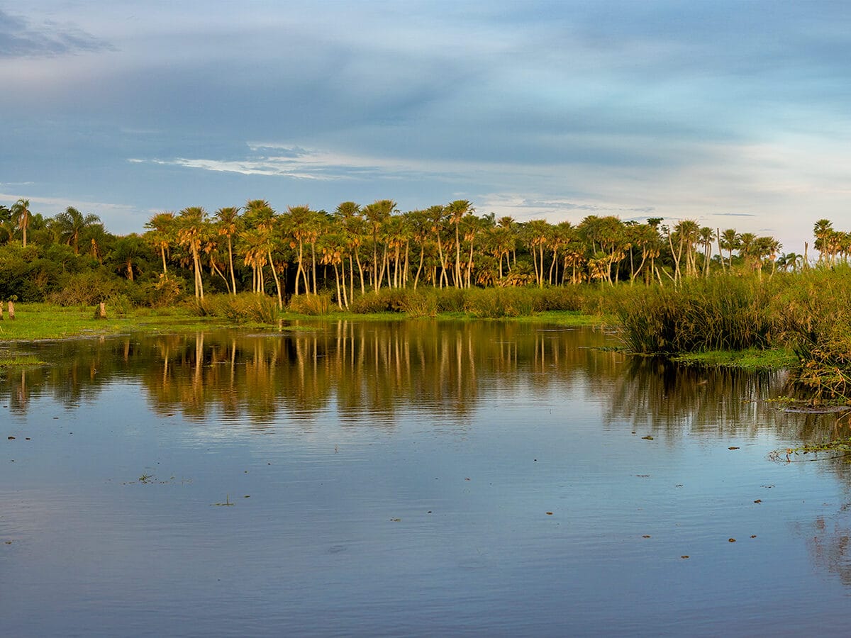 Esteros del Iberá